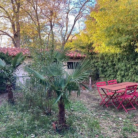 Un Jardin En Ville تولوز المظهر الخارجي الصورة