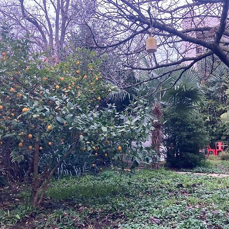 Un Jardin En Ville تولوز المظهر الخارجي الصورة