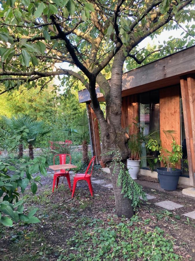 Un Jardin En Ville تولوز المظهر الخارجي الصورة